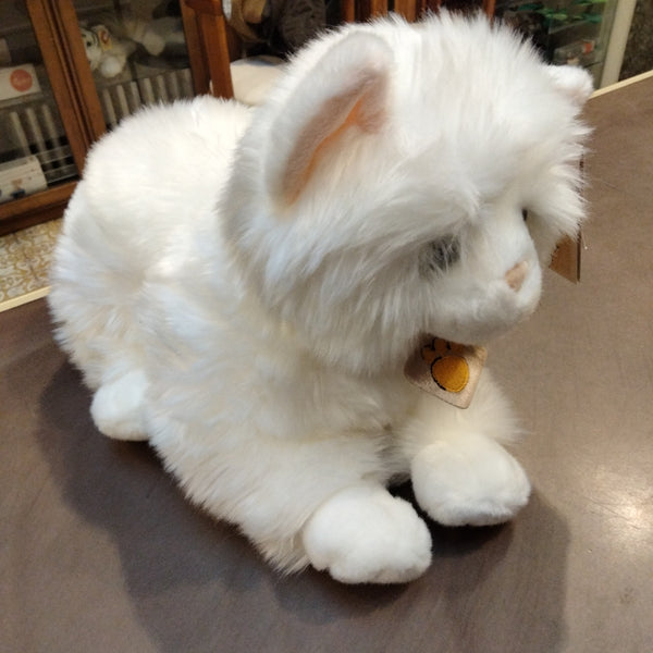 Gatto