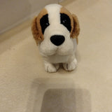 Cane San Bernardo Trudi, linea Trudini