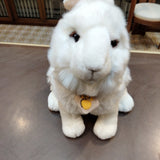 Coniglio Plush & Company
