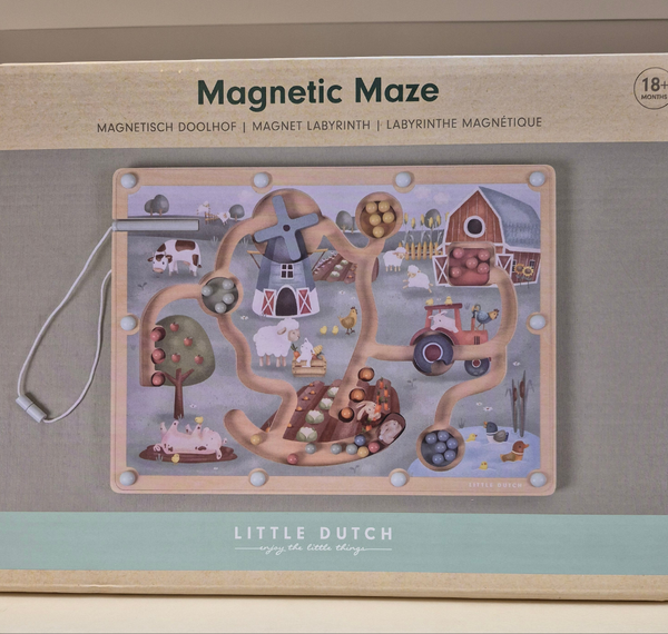 Labirinto Magnetico Little Dutch
