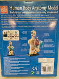 Corpo umano modello anatomico da assemblare Edu-Toys