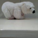 Orso polare Placido Trudi - Petrini