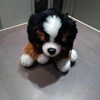 Peluche Cane bernese Plush&Company - Petrini