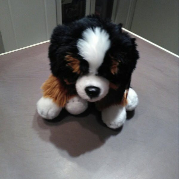 Peluche Cane bernese Plush&Company - Petrini