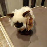 Gatto Siamese Plush & Company Plush&Company - Petrini