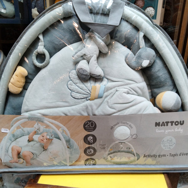 Palestra nattou verde