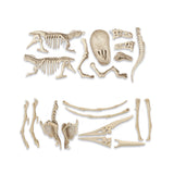 T-Rex e Pteranodonte Kit del paleontologo JW3 Clementoni