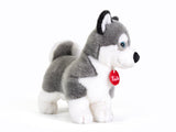Husky Marcus (taglia: S) Trudi