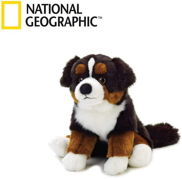 Cane Bernese peluche Venturelli Venturelli - Petrini