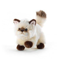 Gatto Siamese Plush & Company Plush&Company - Petrini