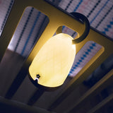 Lanterna magica a soffietto LumiBlo Pabobo