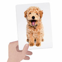 Flashcards Tactile Montessori Headu Headu - Petrini